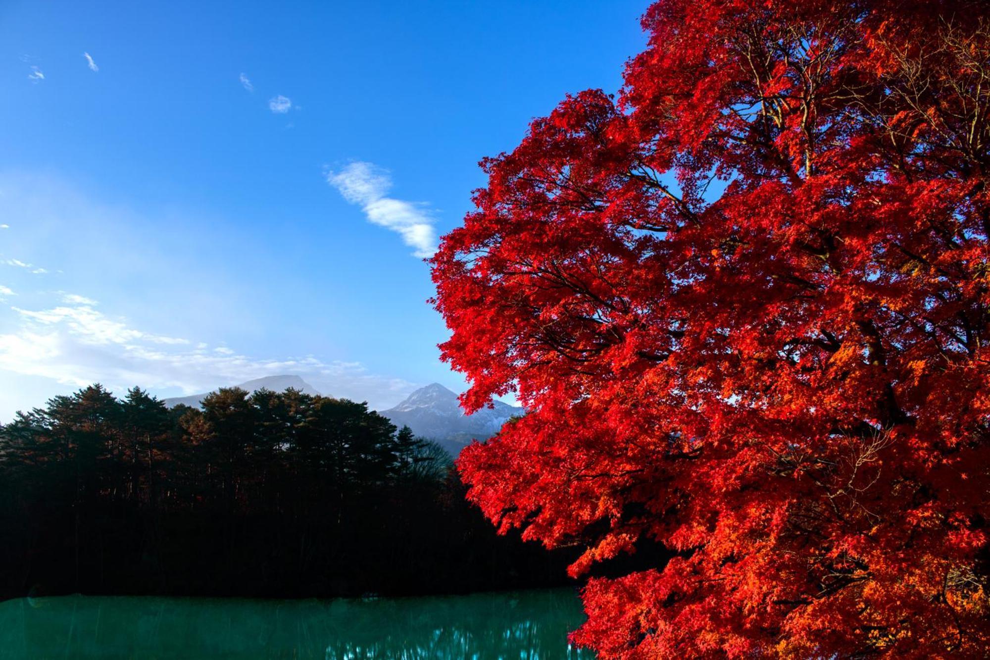 Mercure Urabandai Resort & Spa Kitashiobara Buitenkant foto